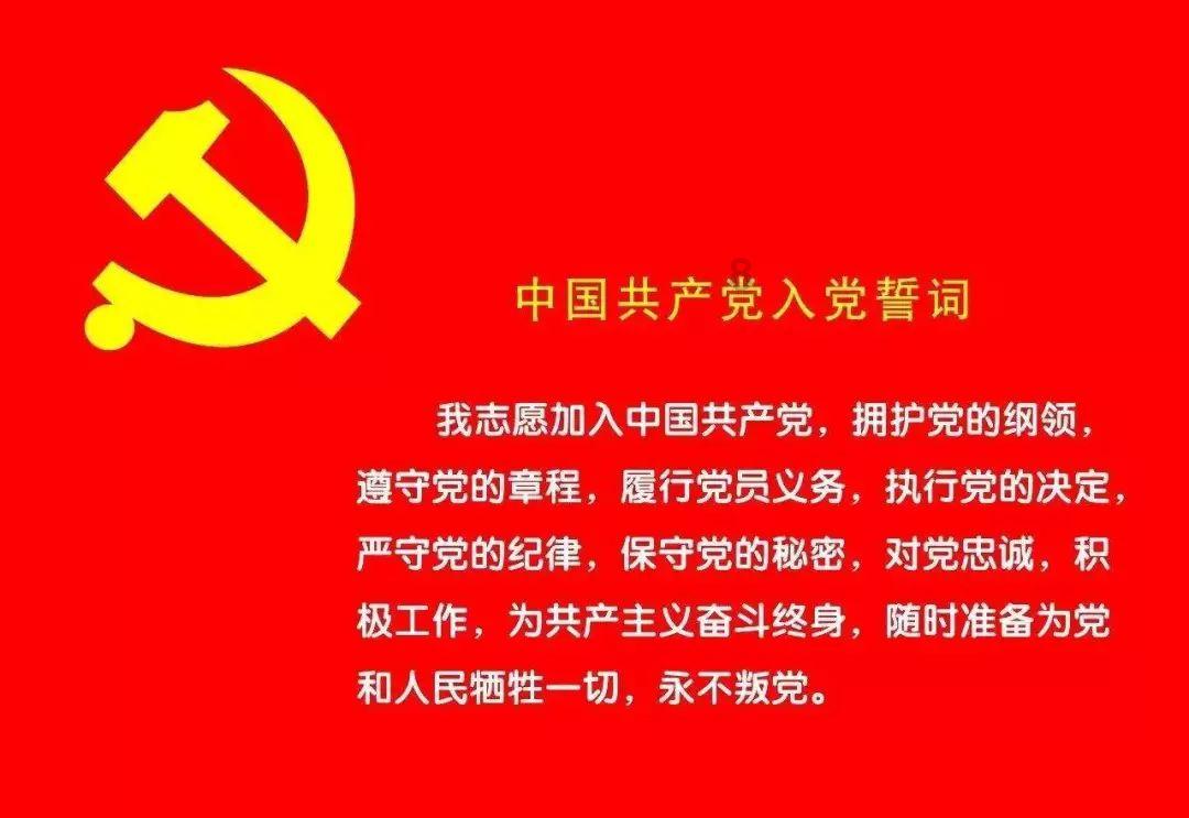 骨头汤要不要放味精游戏画面